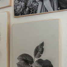 Load image into Gallery viewer, 12x16 Boreal Block
