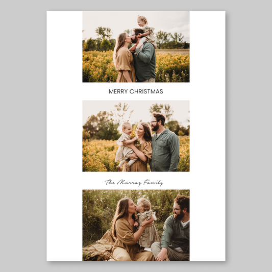 Trio of Images Christmas Card